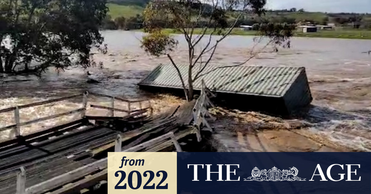 Video Shipping container floats down river
